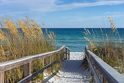 Luis Bond - Beach Boardwalk With Dunes and Sea Oats