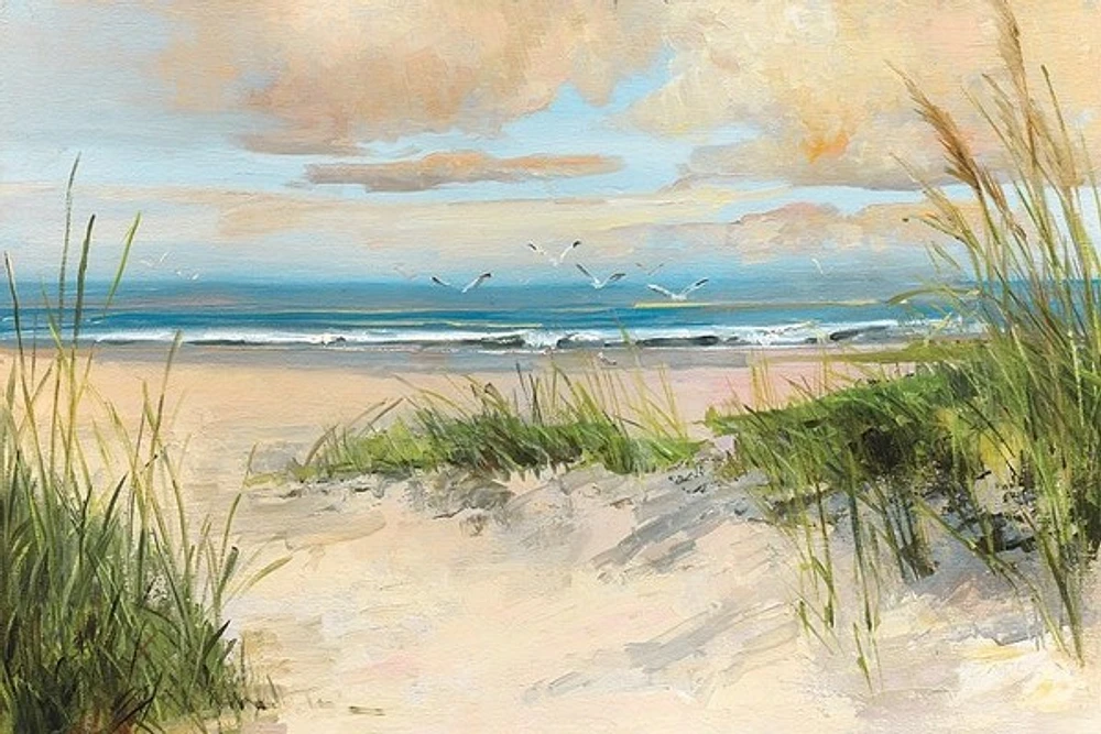 Sally Swatland - Cathcing The Wind