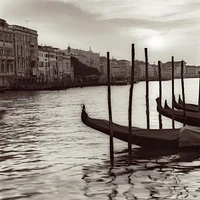 Alan Blaustein - Campo Di Salute, Venezia  