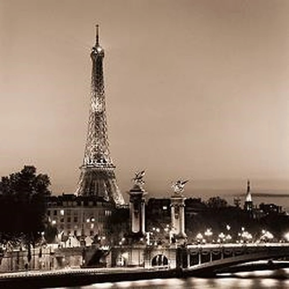 Alan Blaustein - Pont Alexandre III