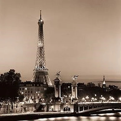 Alan Blaustein - Pont Alexandre III