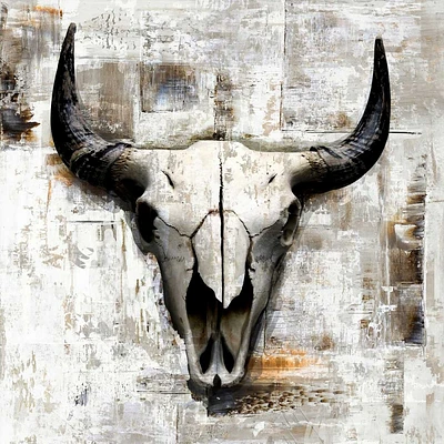 GraphINC - White Cowskull