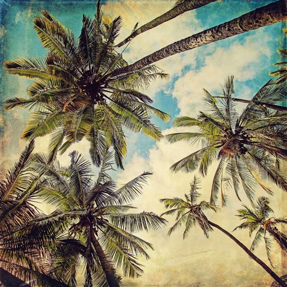 Melanie Alexandra Price - Kauai Island Palms