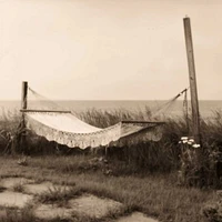 Christine Triebert - Hammock