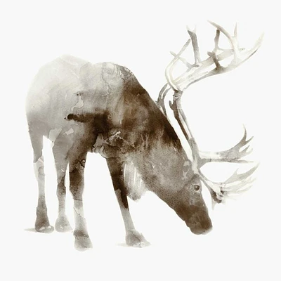 Edward Selkirk - Caribou