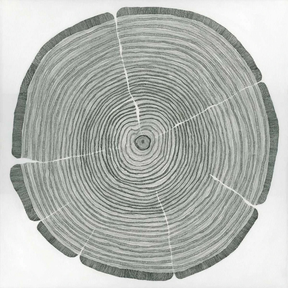 Sandrine Pellisier - Tree Lines