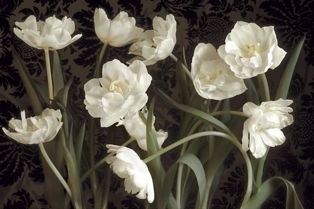 Donna Geissler - Bountiful Tulips