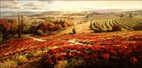 Roberto Lombardi - Red Poppy Panorama -Ovs  