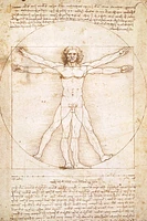 Leonardo Da Vinci - Vitruvian Man  