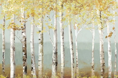 Allison Pearce - Soft Birch