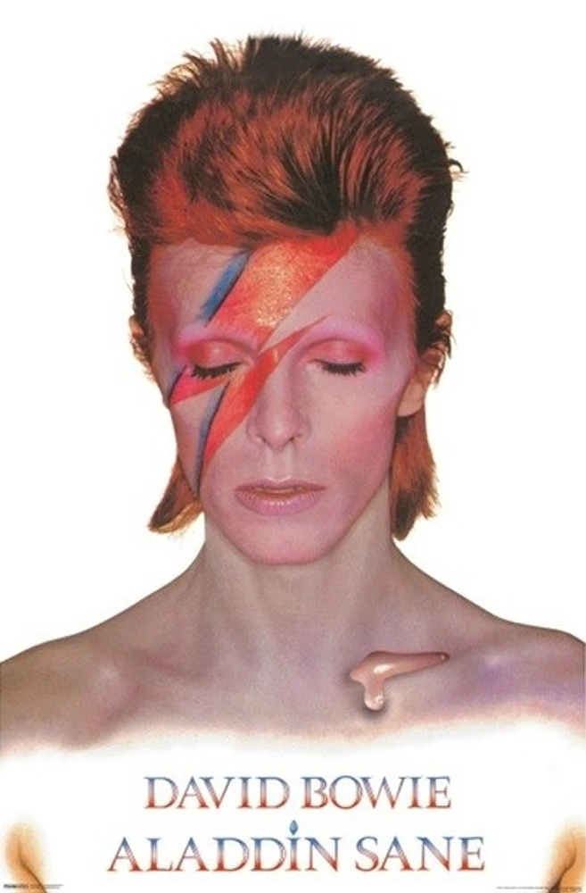 David Bowie Aladdin Sane  