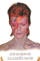 David Bowie Aladdin Sane  