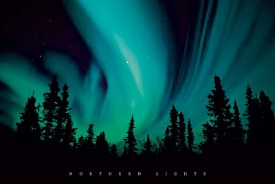 Northern Lights  