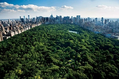 Central Park, New York  