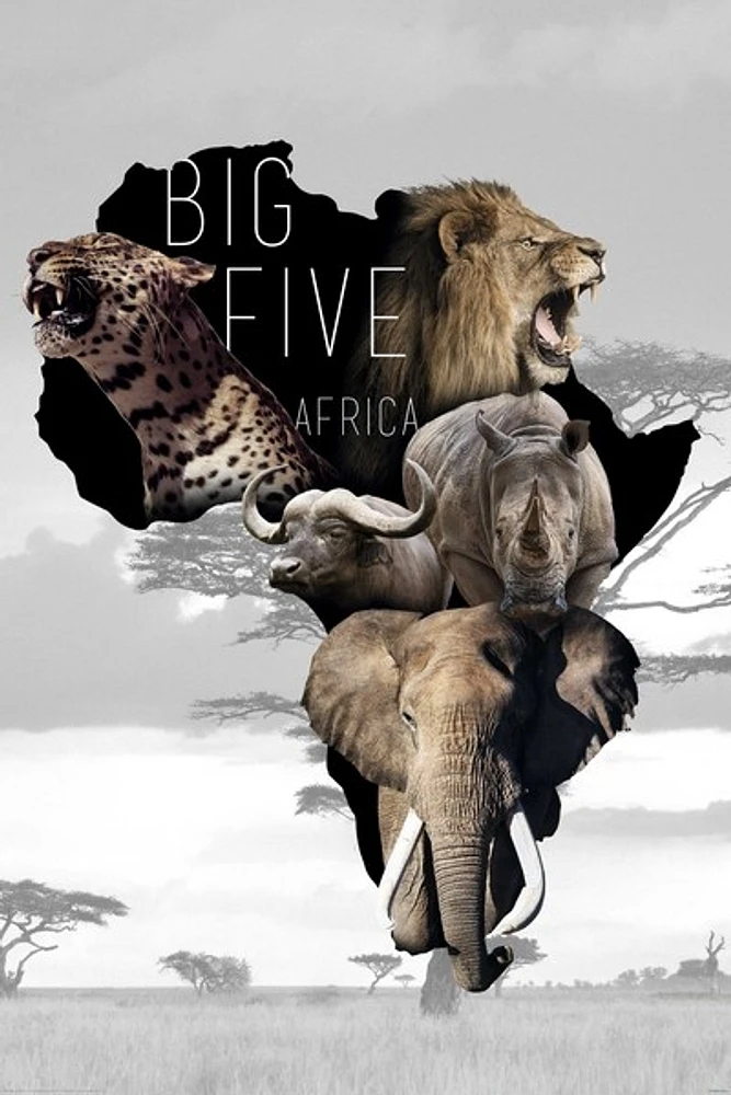 The Big Five  