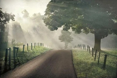Todd Mcphetridge - Misty  