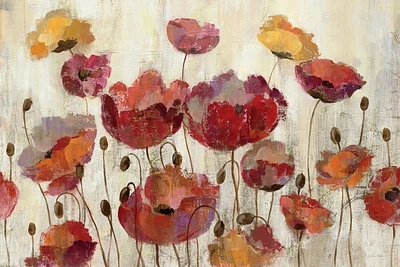 Silvia Vassileva - Poppies In The Rain