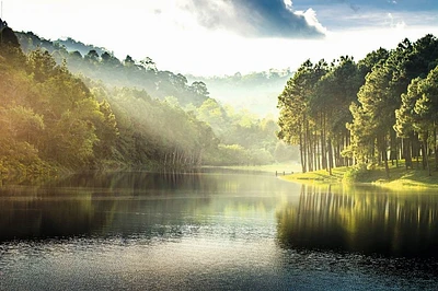 Pang Ung - Reflection of Pine Tree in a Lake