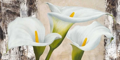 Jenny Thomlinson - True Nature