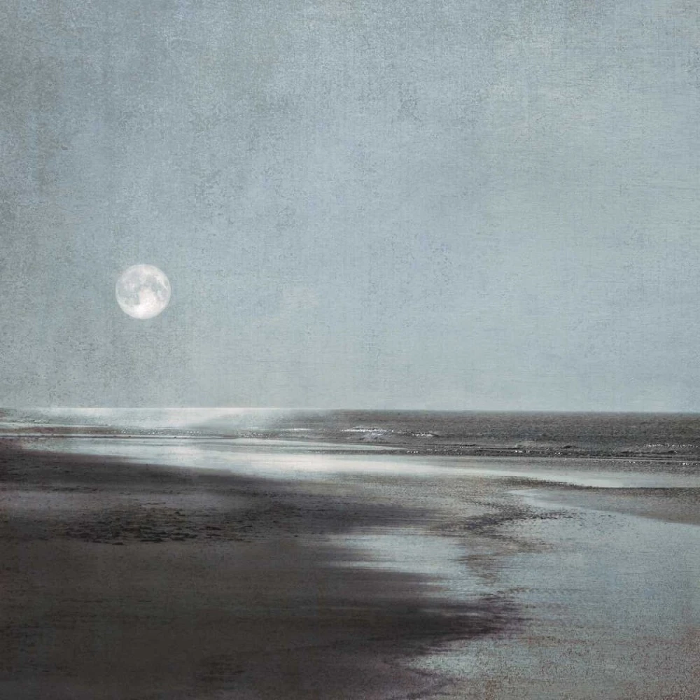 Ily Szilagyi - Moonlit Beach