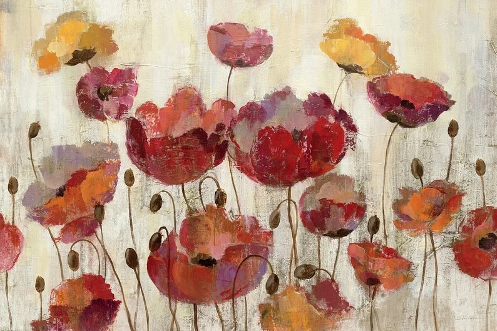 Silvia Vassileva - Poppies The Rain