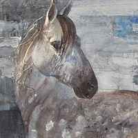 Albena Hristova - Appaloosa