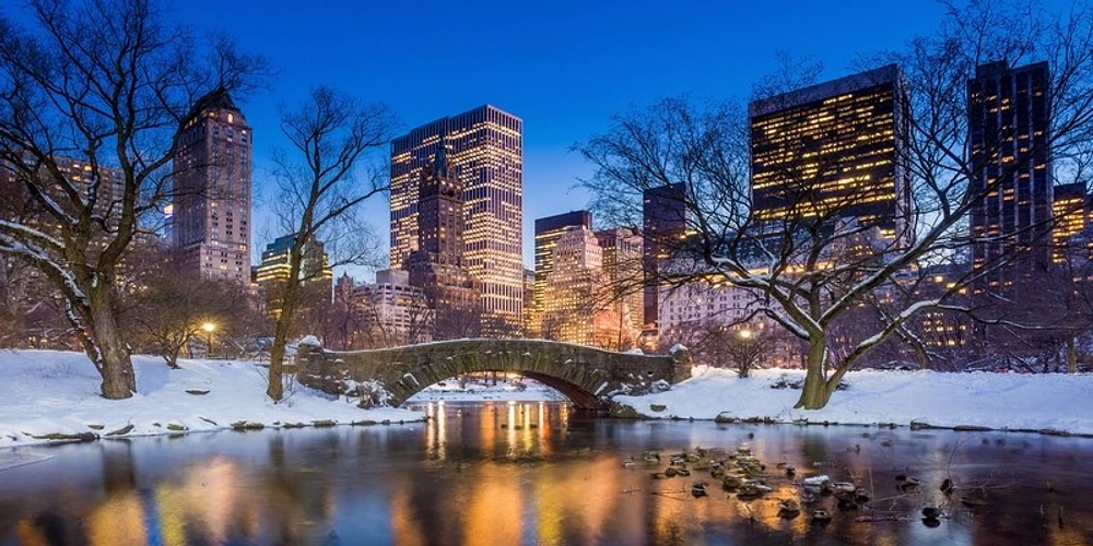 Ben McFrey - Gapstow Bridge Winter, Central Park