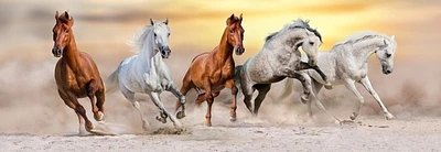 Jocelyn Borivoj - Horse Run Desert