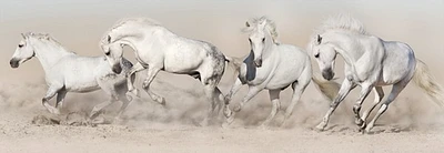 Jocelyn Borivoj - Horse White Herd Run Desert