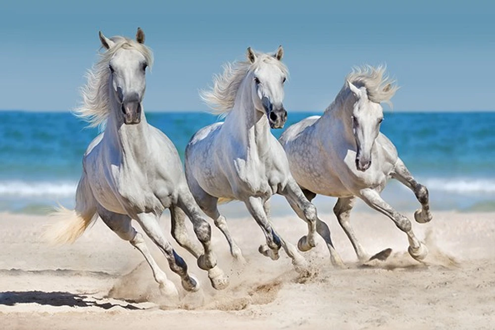Jocelyn Borivoj - Horses Run Along The Coast