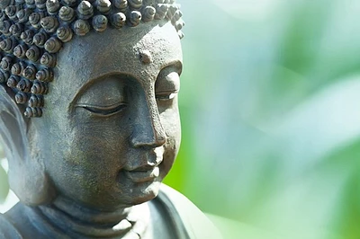 Erin Gunne - Buddha's Head