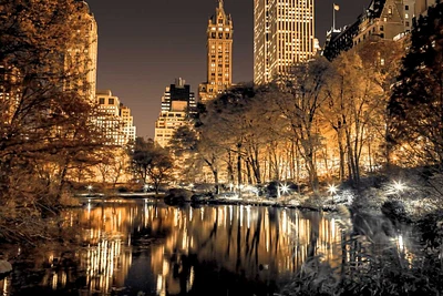 Assaf Frank - Central Park Glow