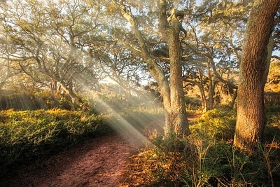 Celebrate Life Gallery - Inspiration