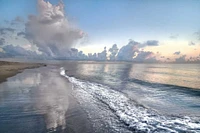 Celebrate Life Gallery - Quiet Morning