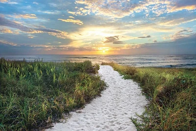 Celebrate Life Gallery - Morning Trail