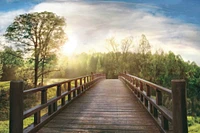 Celebrate Life Gallery - Dreams