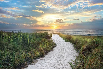 Celebrate Life Gallery - Morning Trail