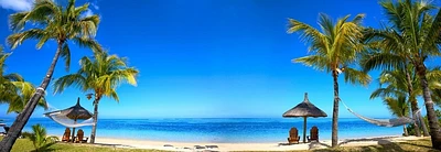 Darin Carroll - Panorama of Tropical Beach