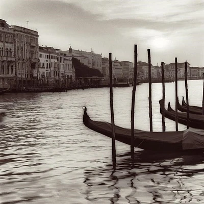 Alan Blaustein - Campo Di Salute, Venezia  