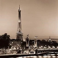 Alan Blaustein - Pont Alexandre III