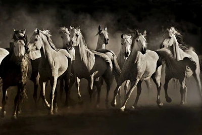 Lisa Dearing - Dream Horses