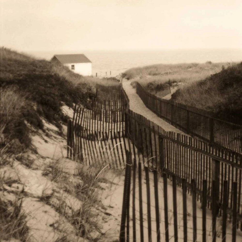 Christine Triebert - Dune Fence