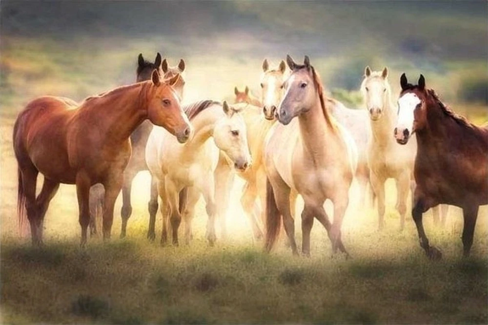Wendy Caro - Dance Class