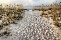 Path to the Beach  