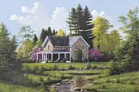 Bill Saunders - Rippling Stream