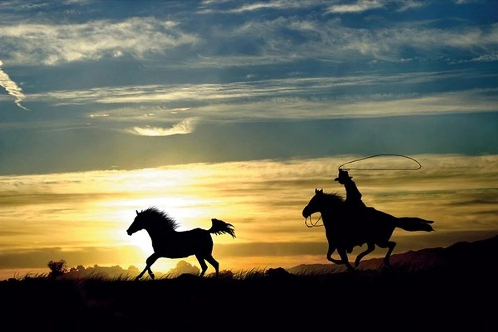 Horses and sunset  