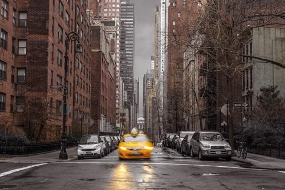 New York Taxi