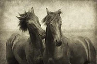 Lars Van De Goor - Horses Don't Whisper,They Just Talk 