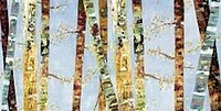 Bark Abstract-Carmen Dolce  