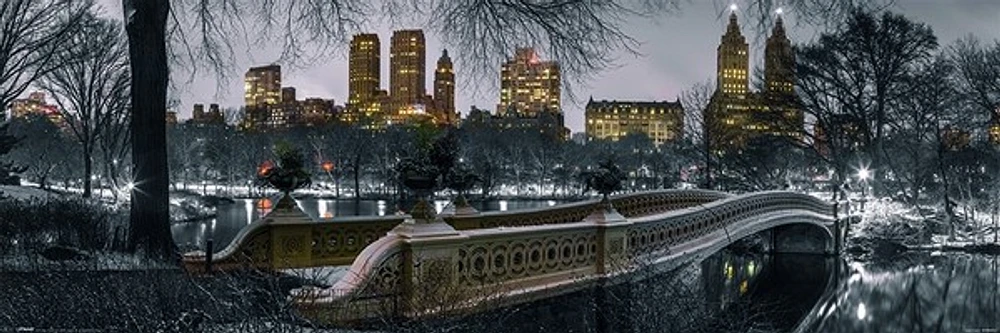 New York Bow Bridge Central Park  